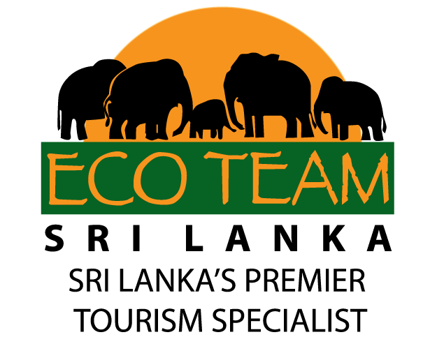 Special Offers. - Eco Team Group